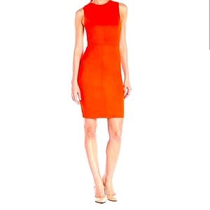 French Connection Bodycon Dress | Mesh Side Insert